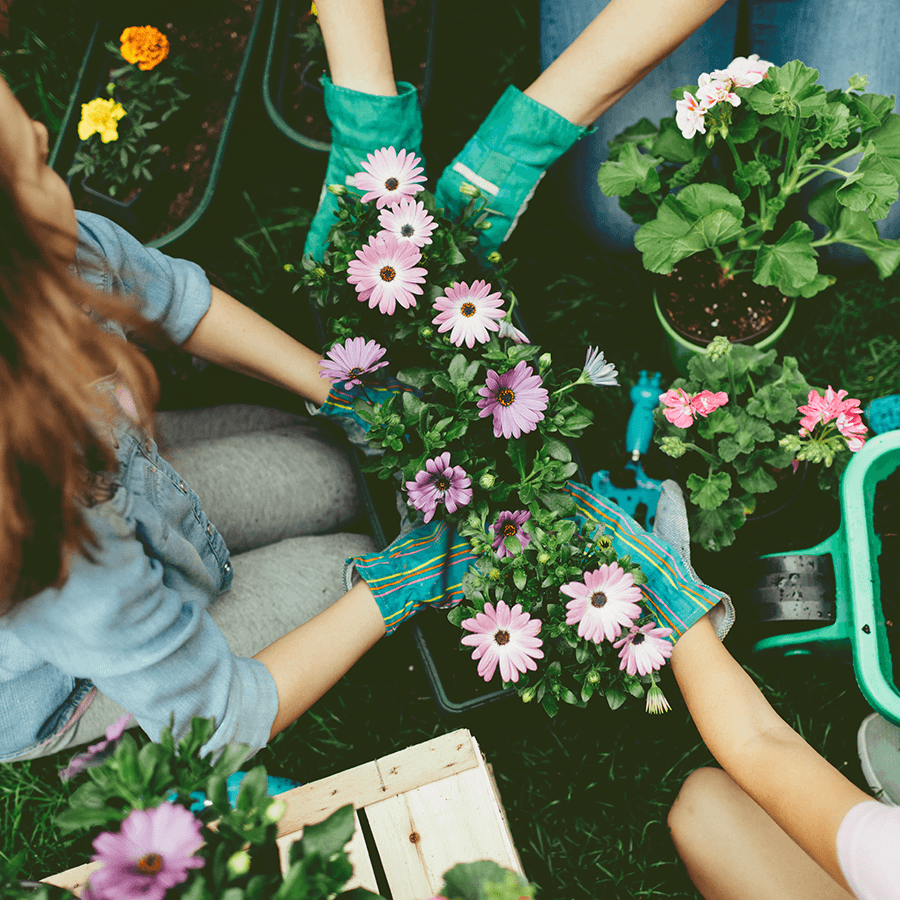 Flores de primavera para balcón y jardín: ¿cuáles son?
